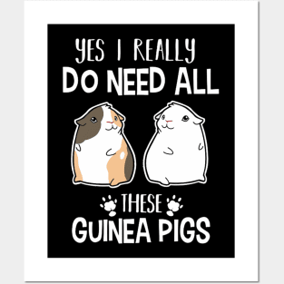 Guinea pig lover | Yes I really do need all these guinea pigs Posters and Art